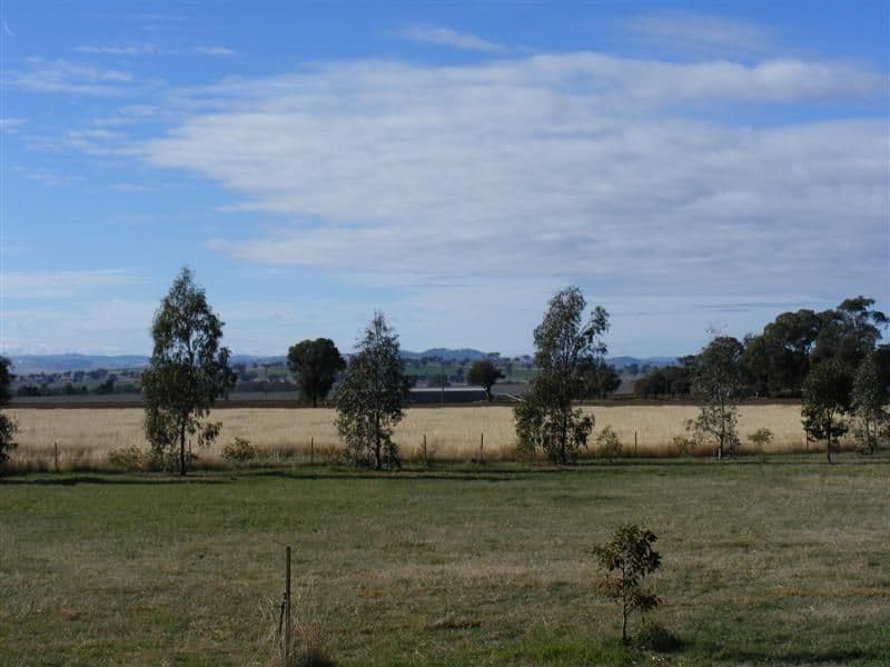 Lot 255 Noonbinna Road, NOONBINNA NSW 2794, Noonbinna - Thumbnail 4