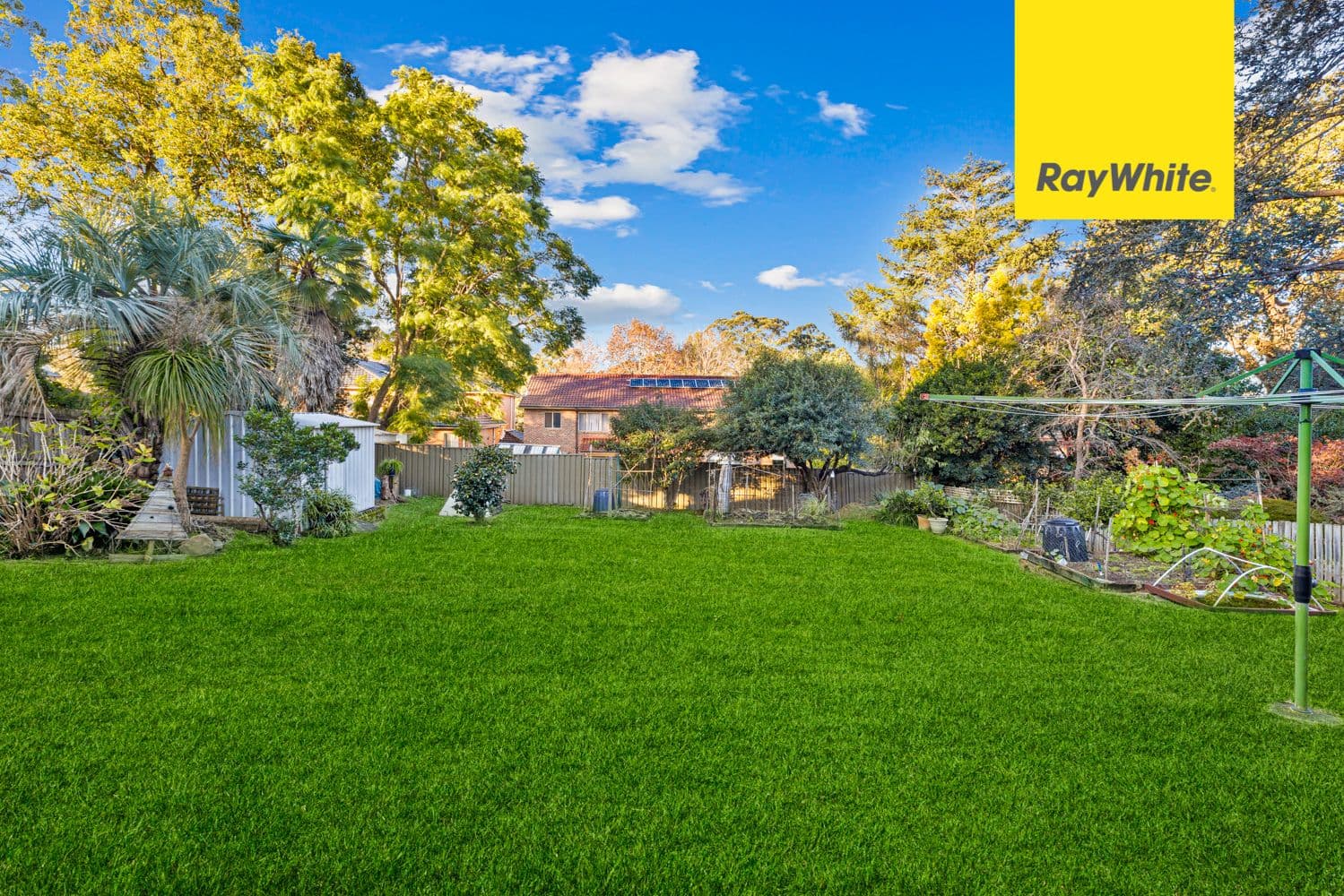 34 Gordon Street, Eastwood NSW 2122, Eastwood - Thumbnail 8