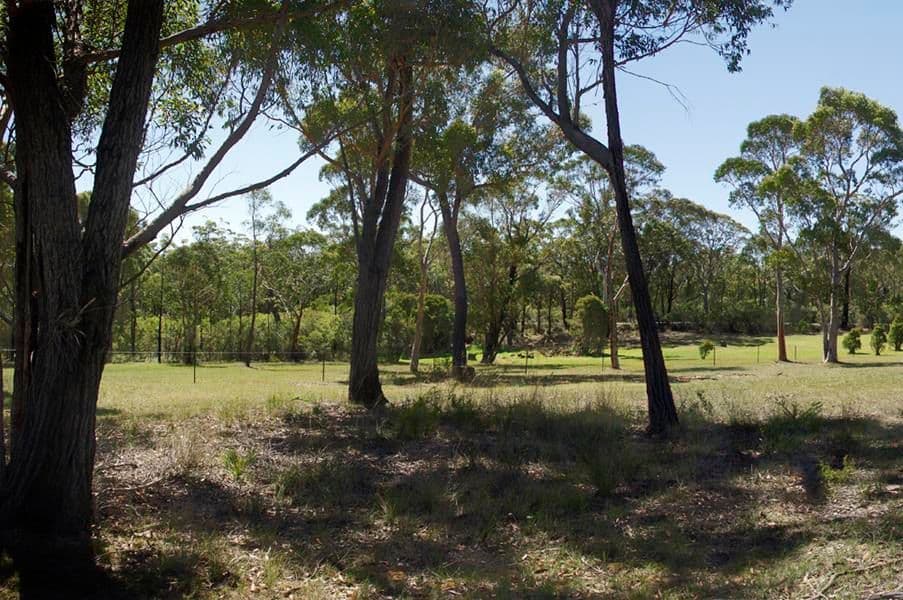 57 West Parade, HILL TOP NSW 2575, Hill Top - Thumbnail 4