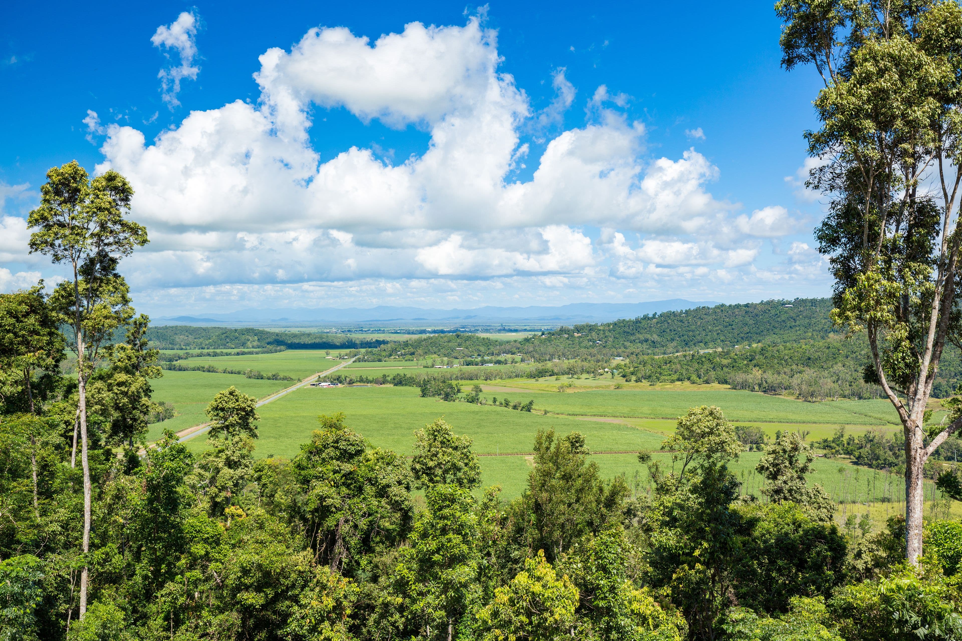 73 Staniland Drive, Strathdickie QLD 4800, Strathdickie - Thumbnail 5