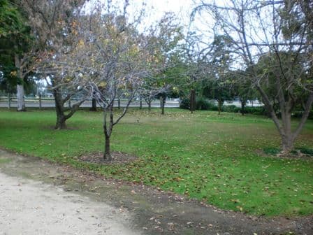 102 Victoria Street, HOWLONG NSW 2643, Howlong - Thumbnail 2