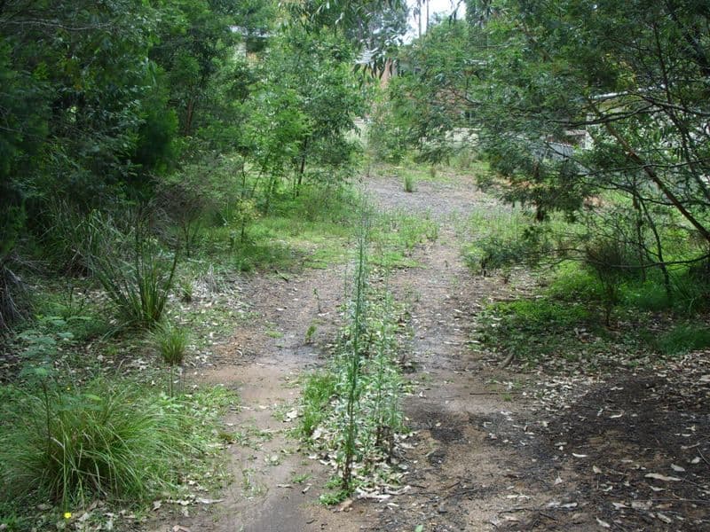 141 Litchfield Crescent, Long Beach NSW 2536, Long Beach - Thumbnail 3