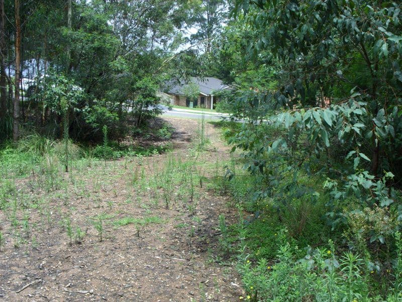 141 Litchfield Crescent, Long Beach NSW 2536, Long Beach - Thumbnail 4