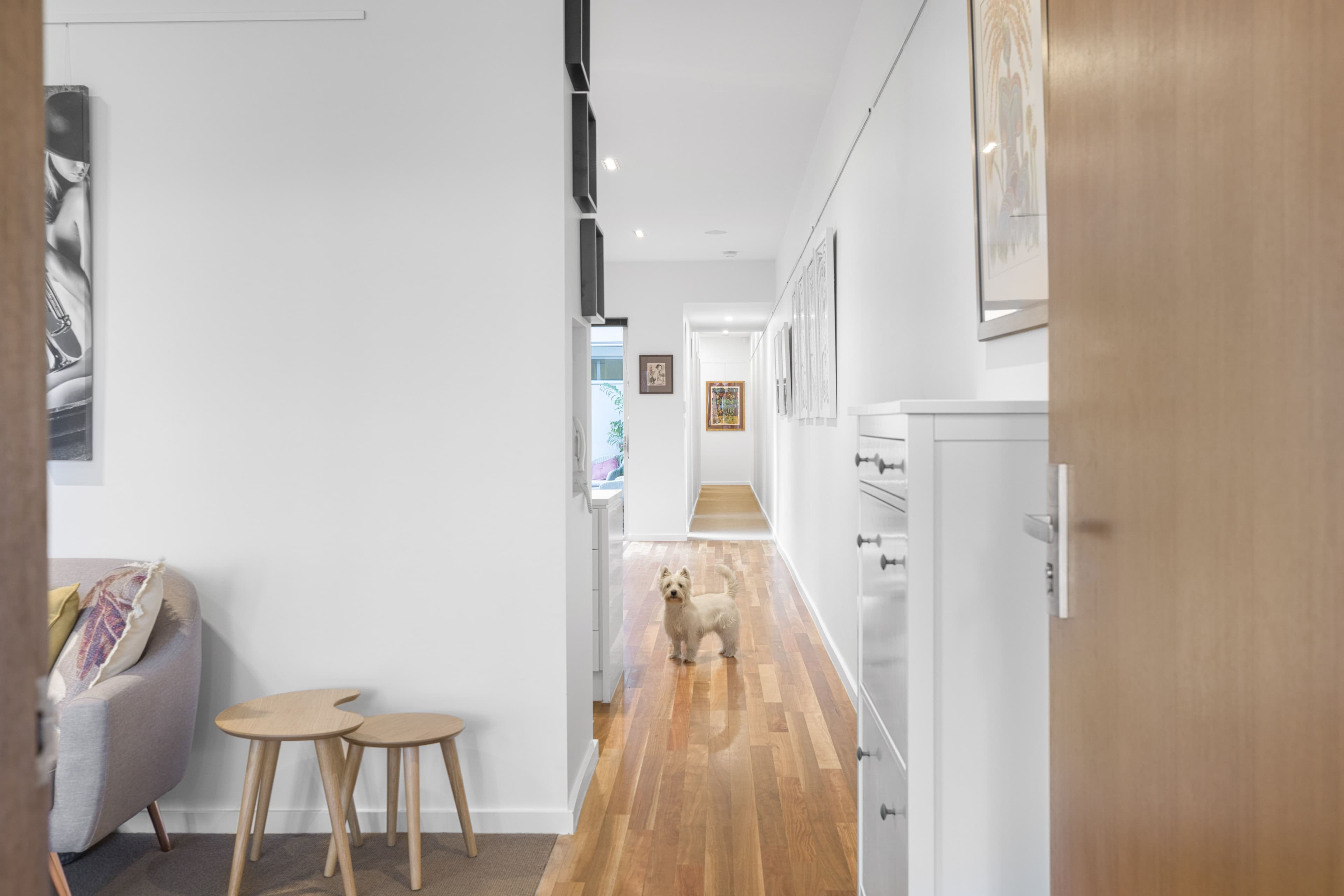 62A Albert Street, Goodwood SA 5034, Goodwood - Thumbnail 3