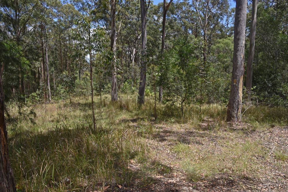 Lot 17 Crisp Drive, Ashby Heights NSW 2463, Ashby Heights - Thumbnail 6
