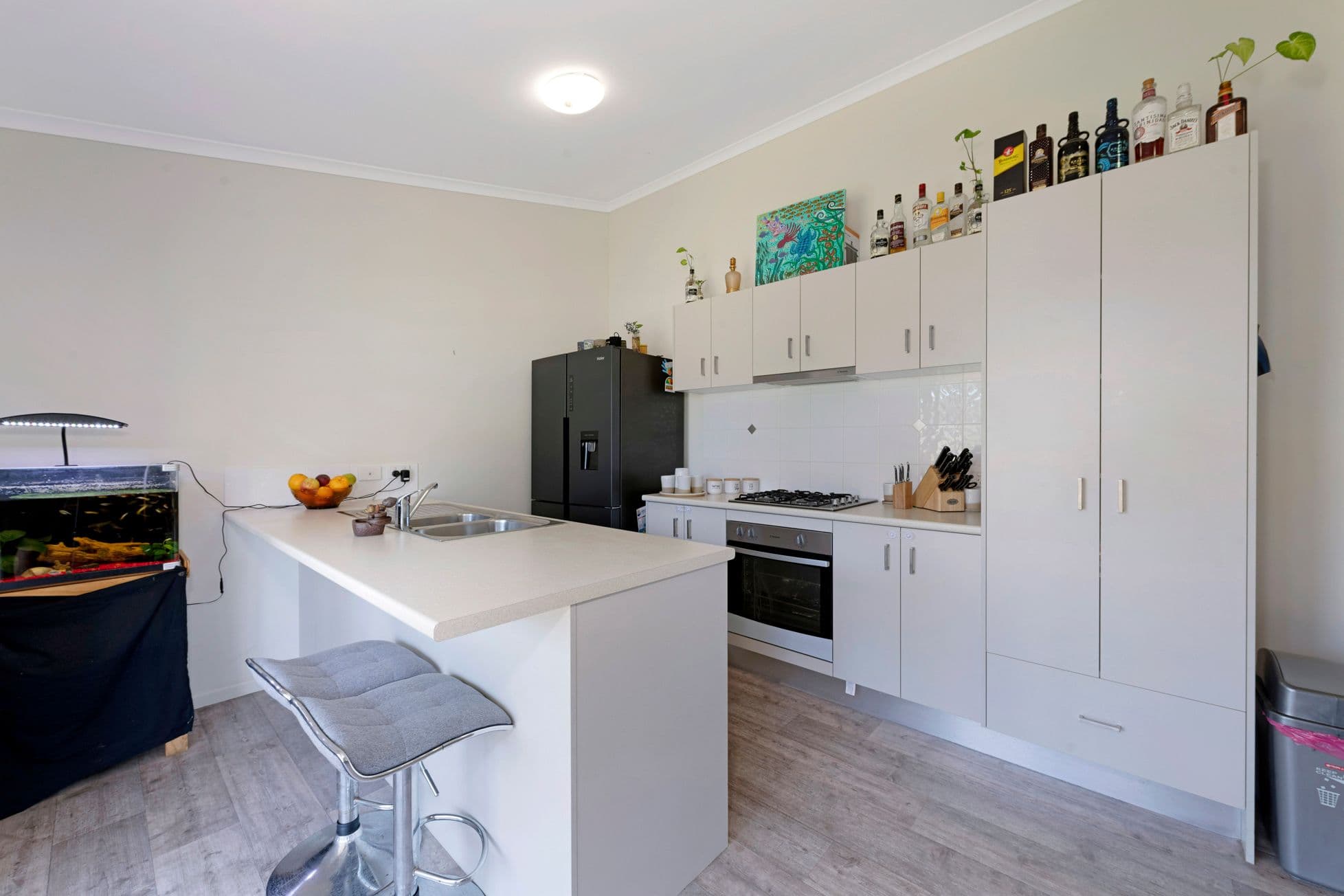 19 Milden Street, Gin Gin QLD 4671, Gin Gin - Thumbnail 8