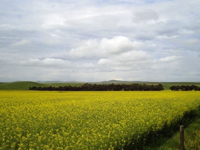 Lot 5 Hill River Road, ANDREWS SA 5454, Andrews - Thumbnail 2