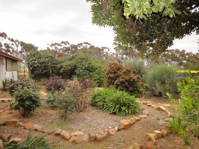 Lot 5 Hill River Road, ANDREWS SA 5454, Andrews - Thumbnail 3