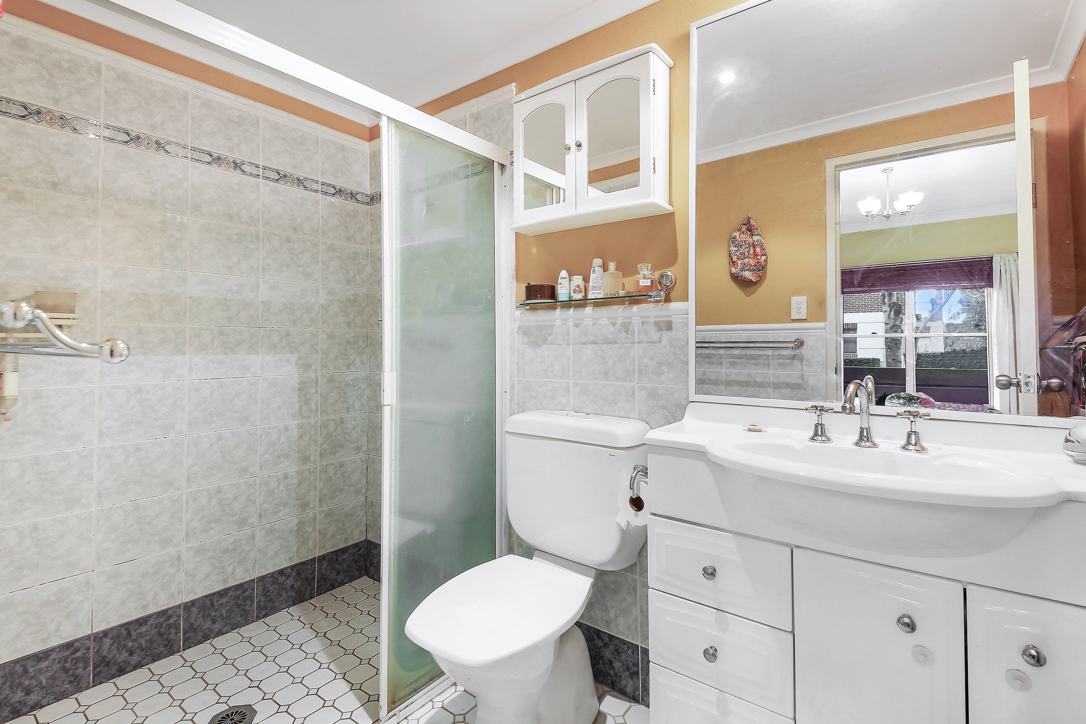 247D Burwood Road, Concord NSW 2137, Concord - Thumbnail 6