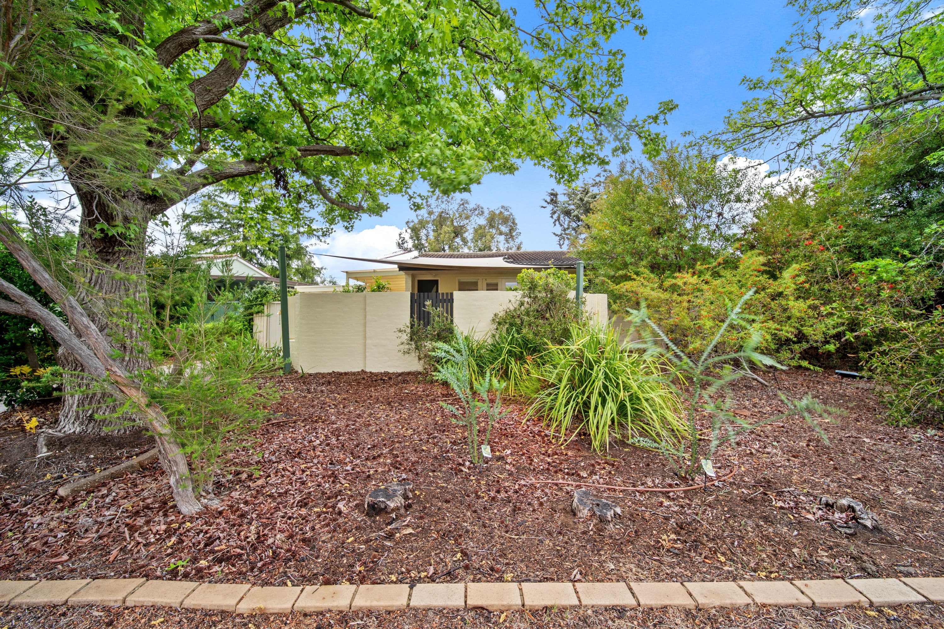 4 Fenner Street, Downer ACT 2602, Downer - Image 1