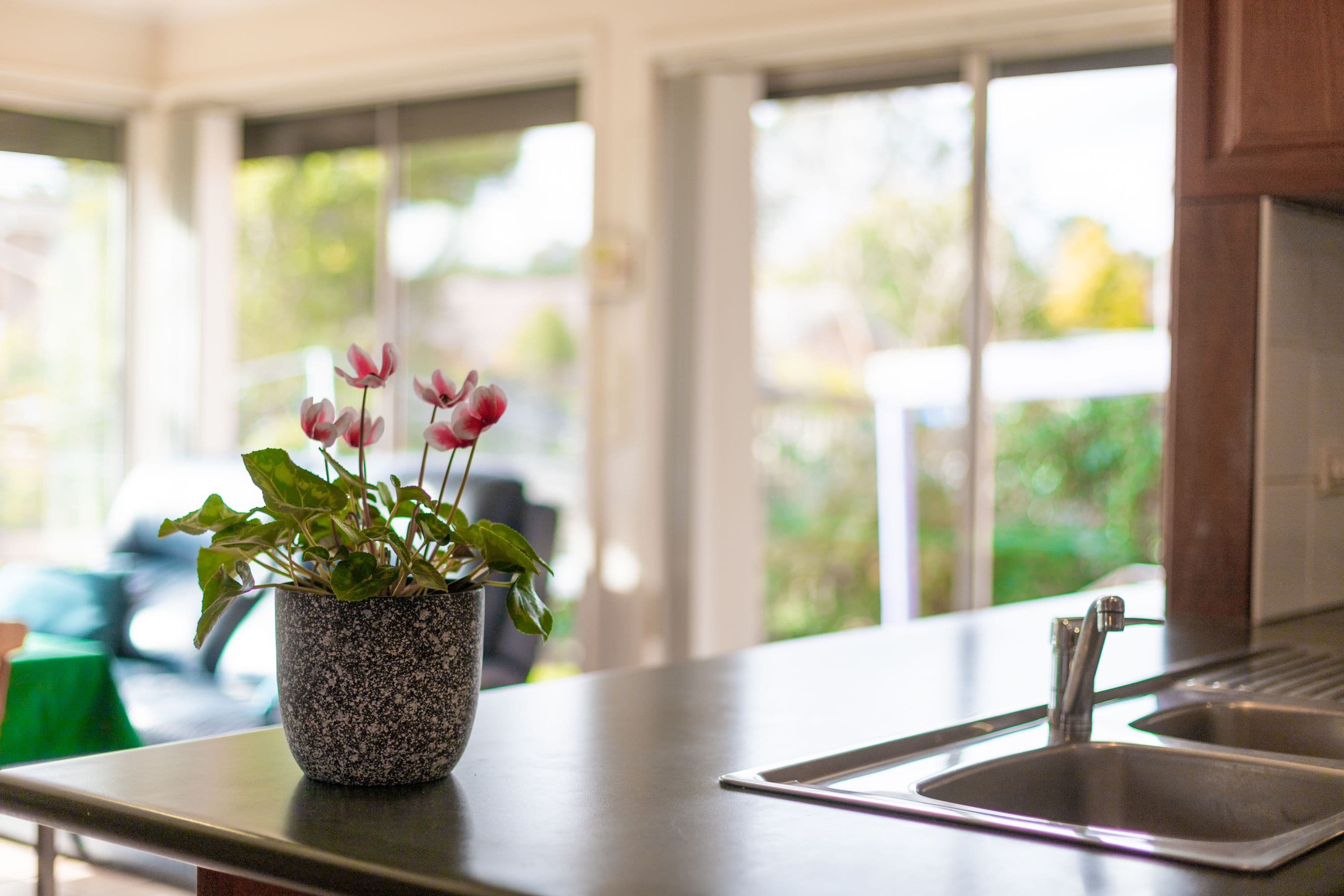 104 Pennefather Street, Higgins ACT 2615, Higgins - Thumbnail 2