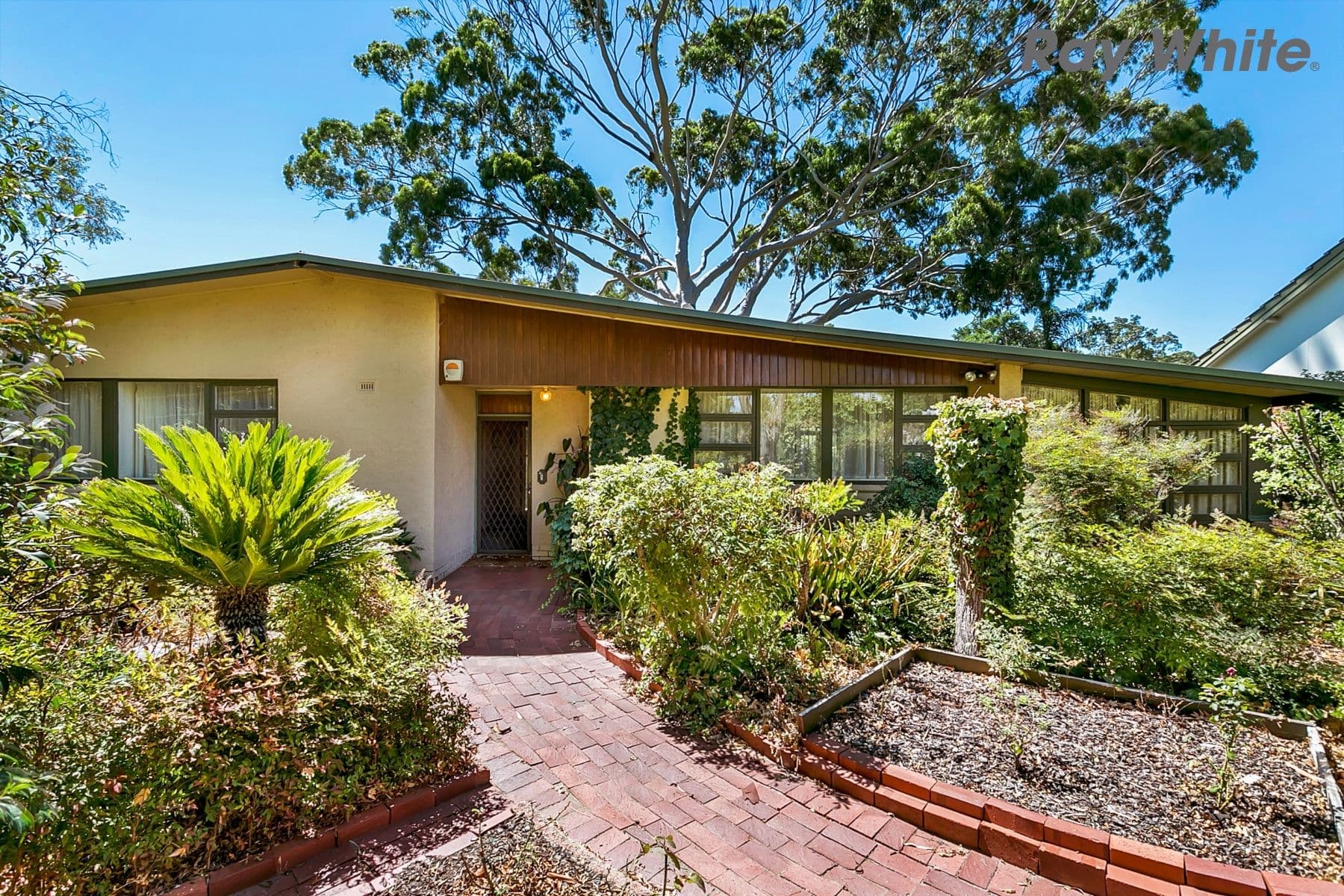 27 Bowden Grove, Oaklands Park SA 5046, Oaklands Park - Image 1
