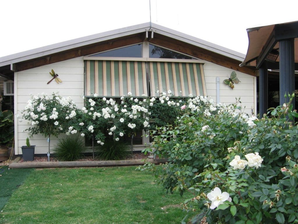 55 Northcote Street, ROCHESTER VIC 3561, Rochester - Thumbnail 7