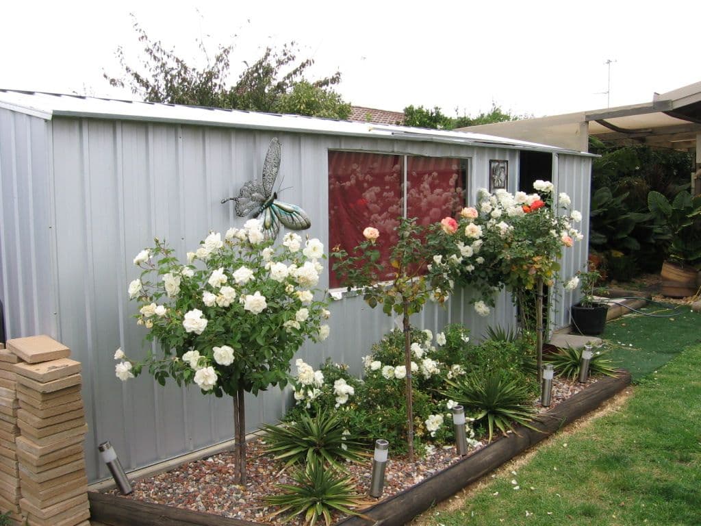 55 Northcote Street, ROCHESTER VIC 3561, Rochester - Thumbnail 8