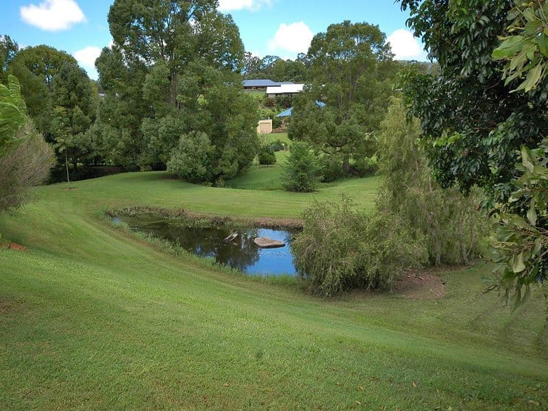 43 Dungogie Drive, TALLEBUDGERA QLD 4228, Tallebudgera - Thumbnail 2