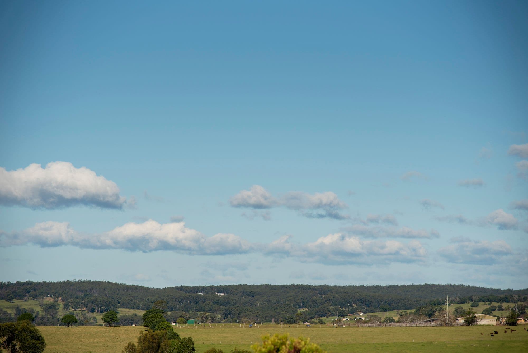 15 Porter Circuit, Milton NSW 2538, Milton - Thumbnail 5