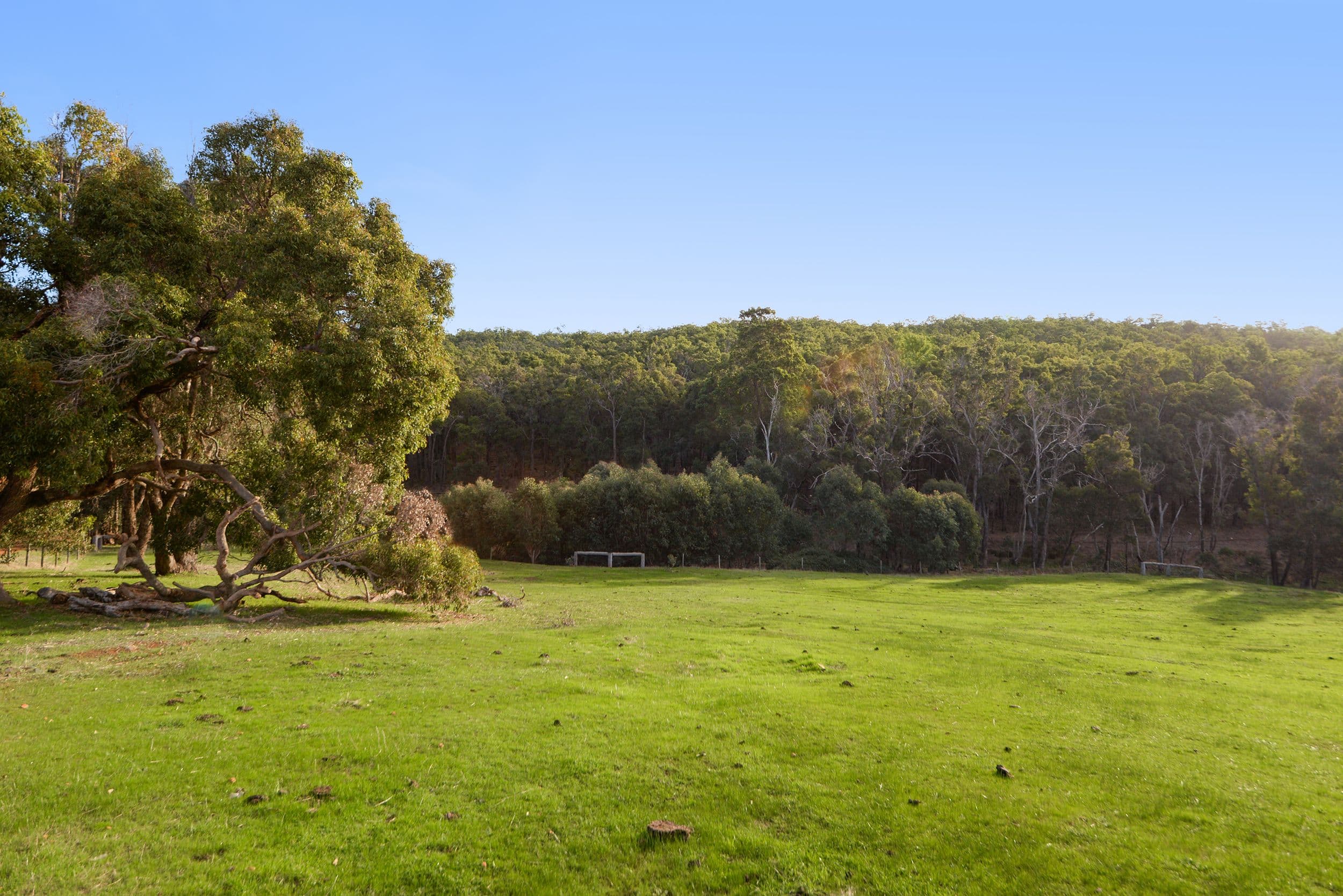 6445 Weslington Road, Balingup WA 6253, Balingup - Thumbnail 2