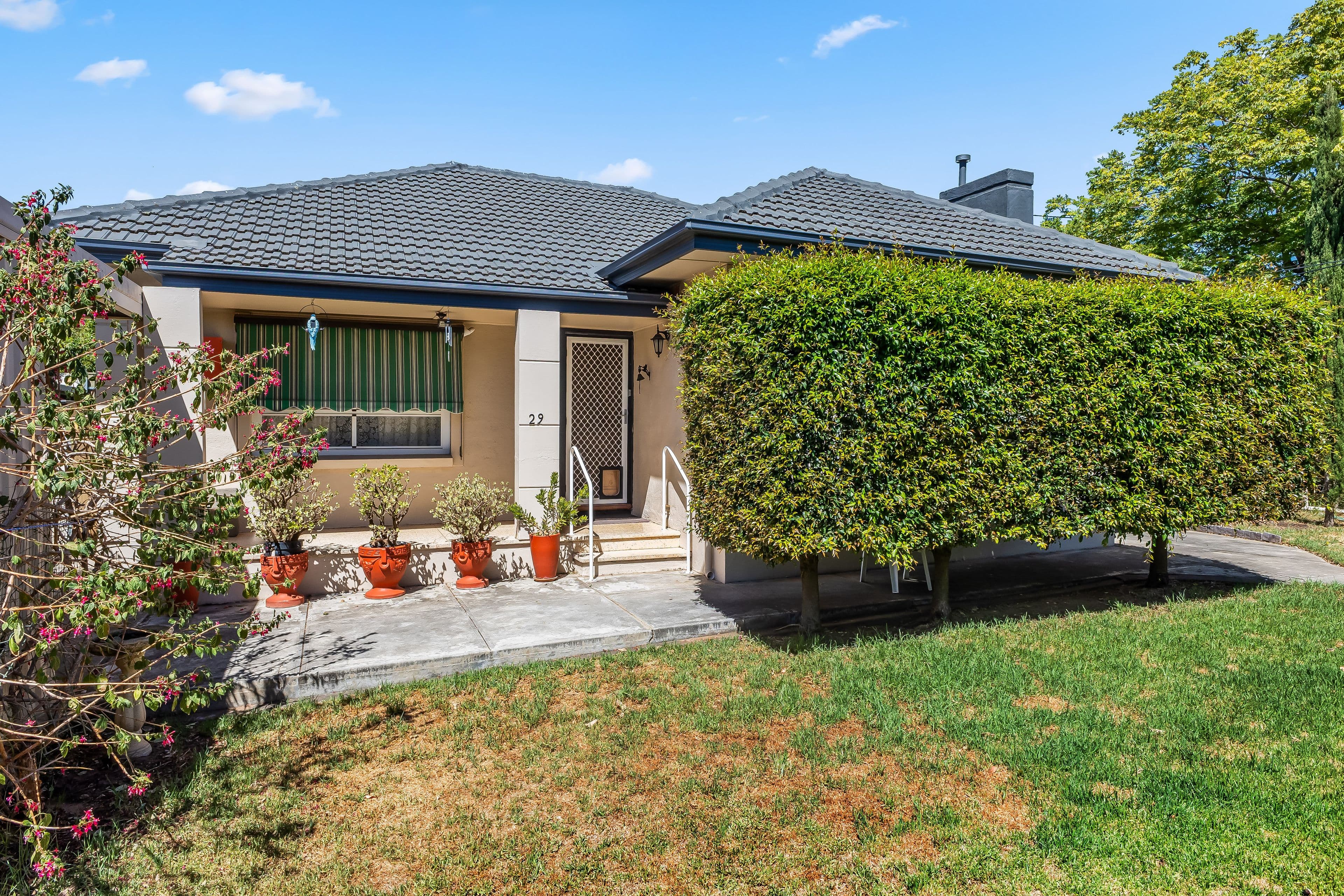 29 Frederick Street, Magill SA 5072, Magill - Image 1