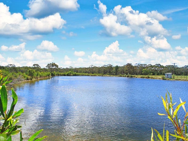 490 Darkes Forest Road, DARKES FOREST NSW 2508, Darkes Forest - Thumbnail 5