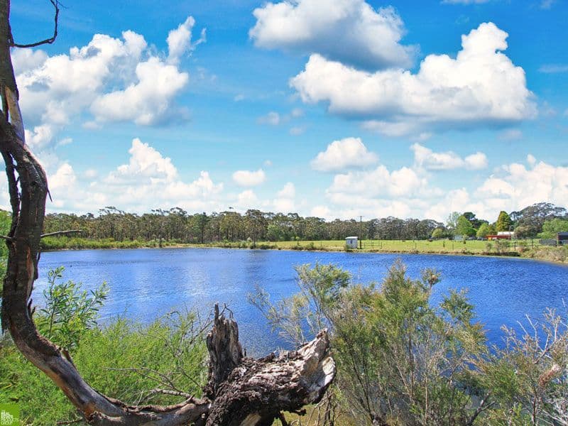 490 Darkes Forest Road, DARKES FOREST NSW 2508, Darkes Forest - Thumbnail 6