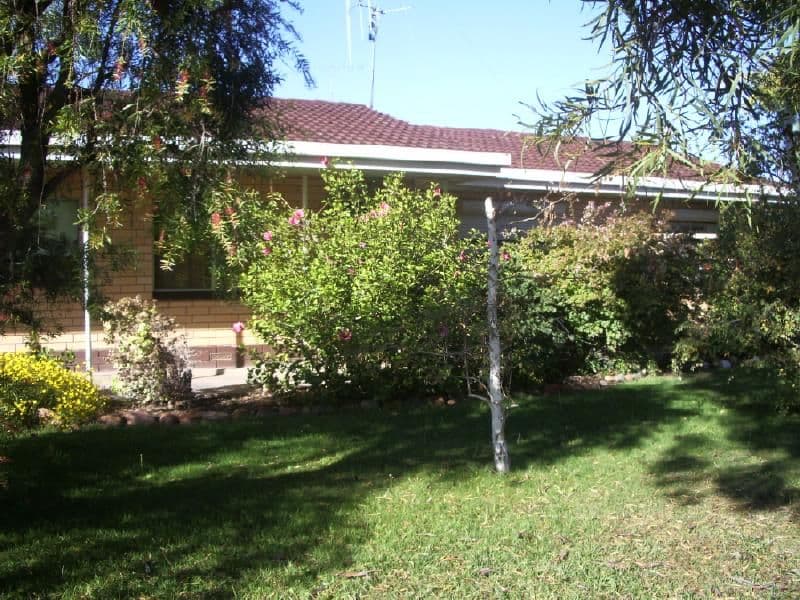 42 Venn Avenue, BORDERTOWN SA 5268, Bordertown - Image 1