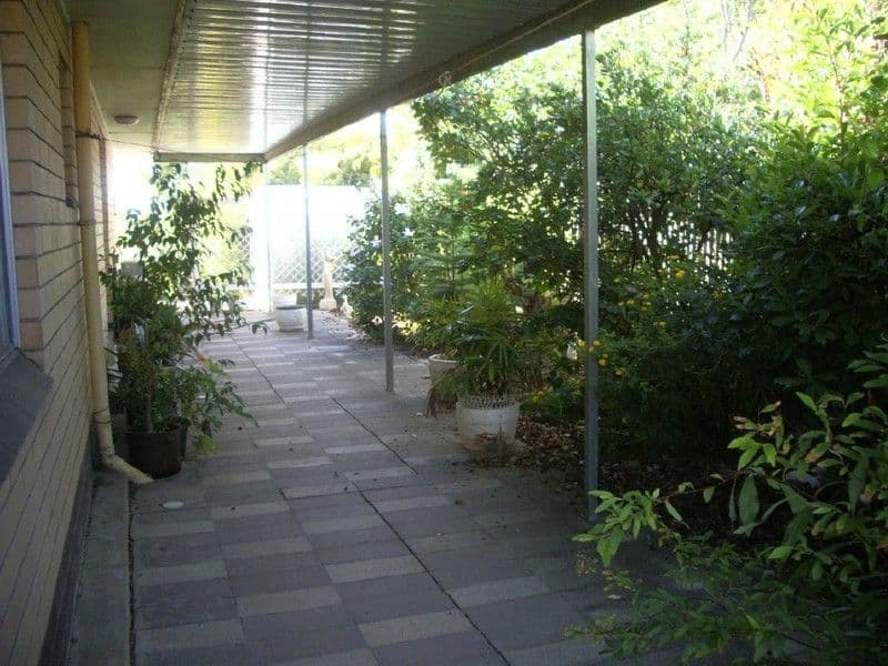 42 Venn Avenue, BORDERTOWN SA 5268, Bordertown - Thumbnail 3