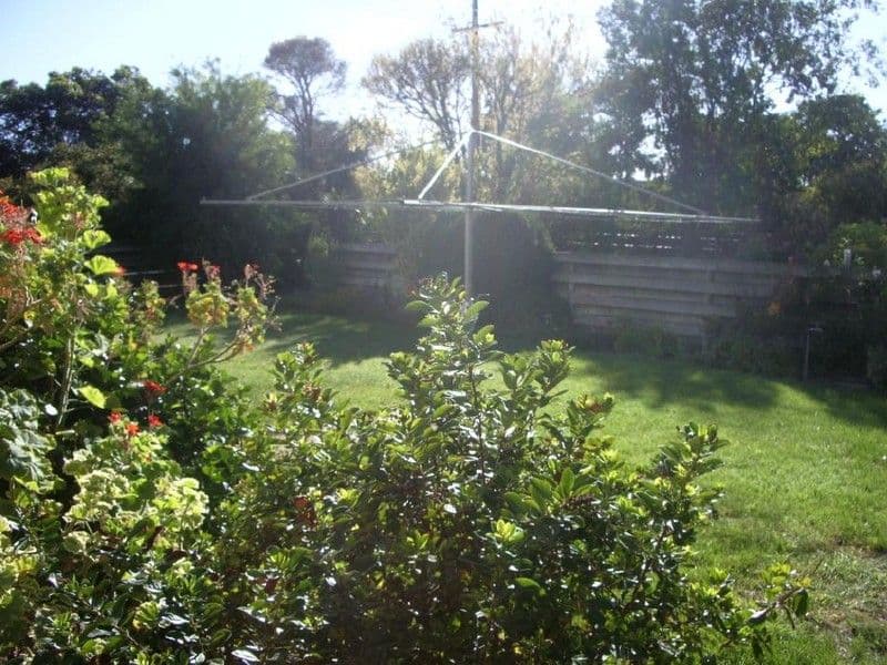42 Venn Avenue, BORDERTOWN SA 5268, Bordertown - Thumbnail 4