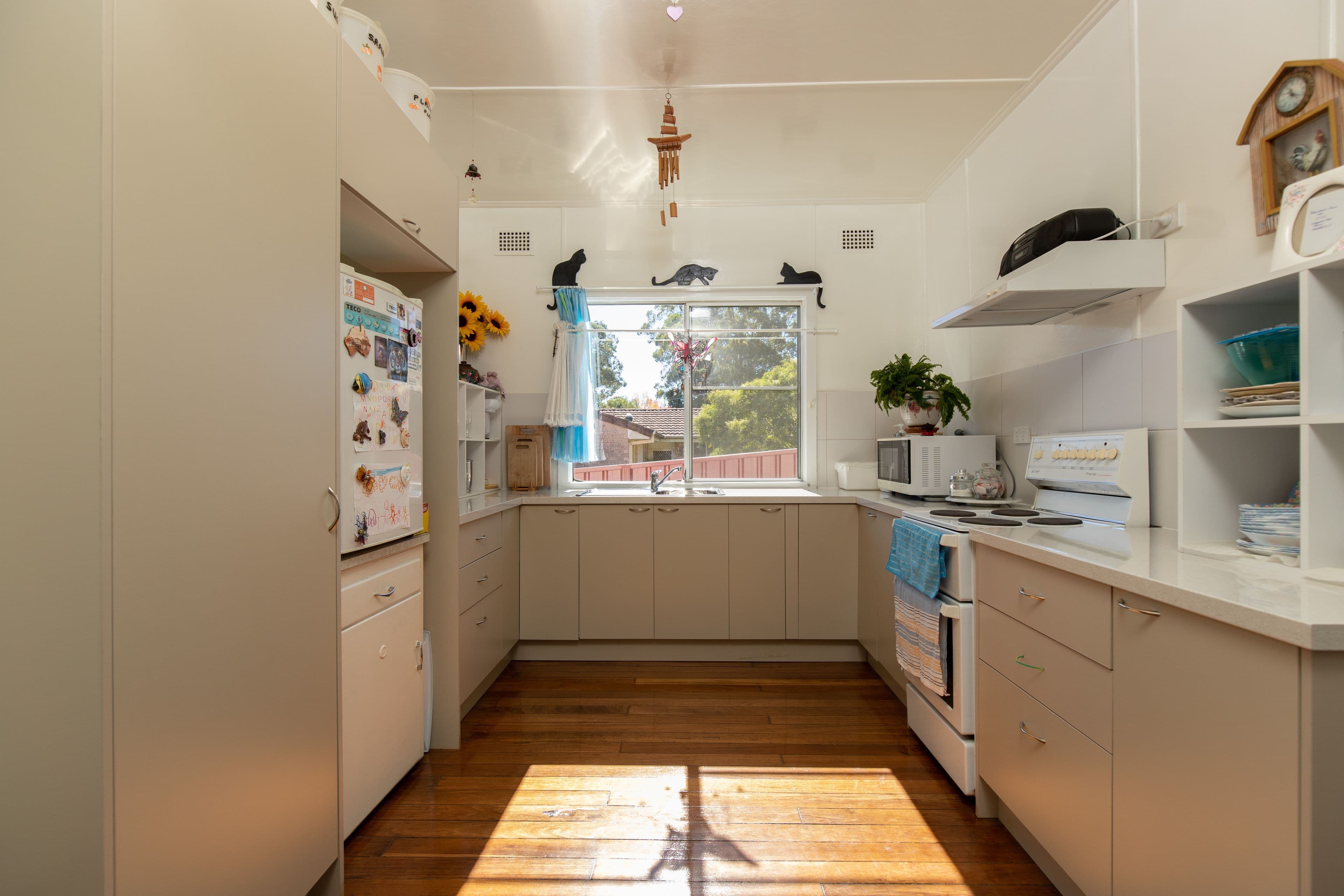 21 Ravenshaw Street, Gloucester NSW 2422, Gloucester - Thumbnail 2