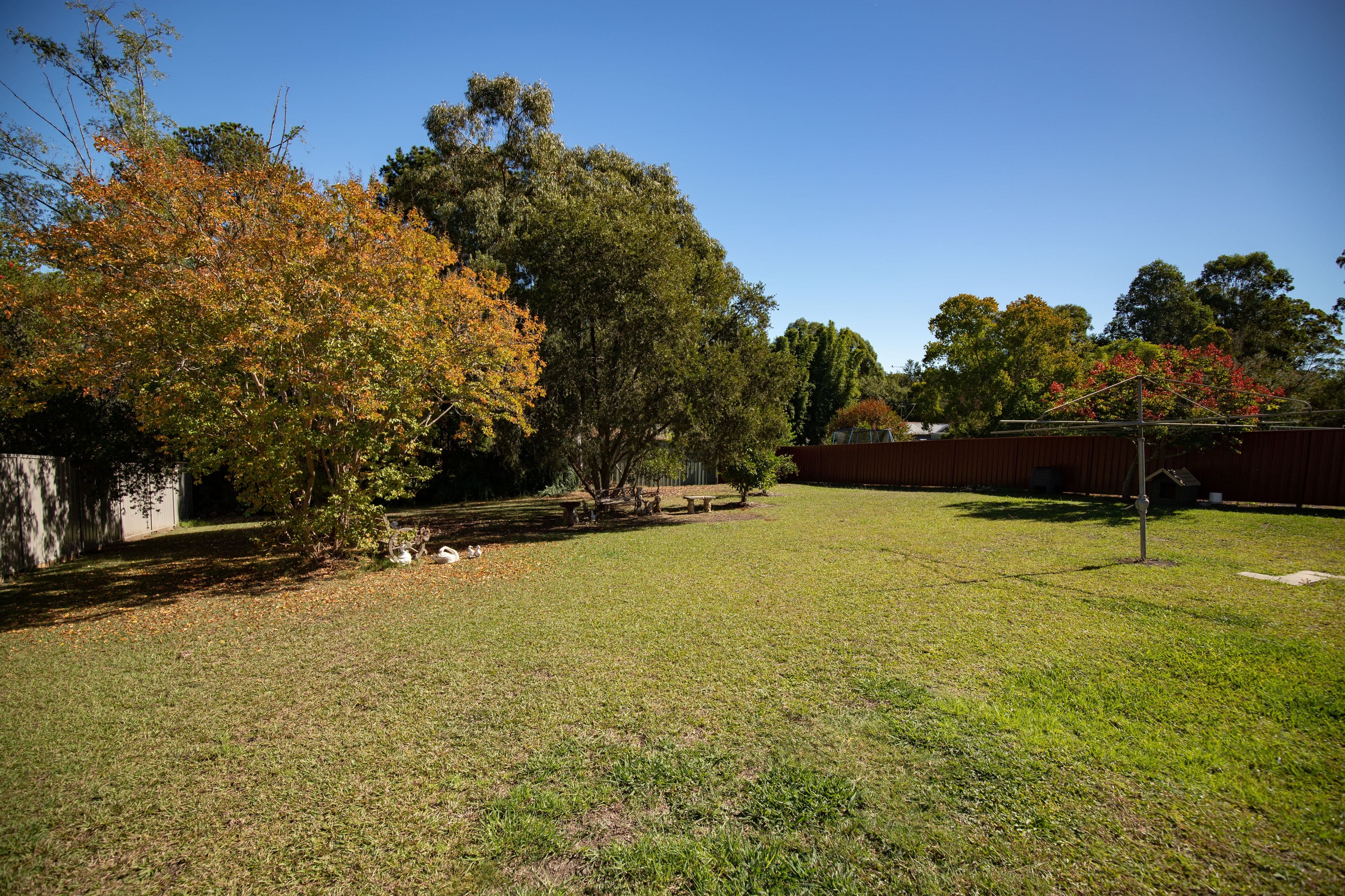 21 Ravenshaw Street, Gloucester NSW 2422, Gloucester - Thumbnail 4