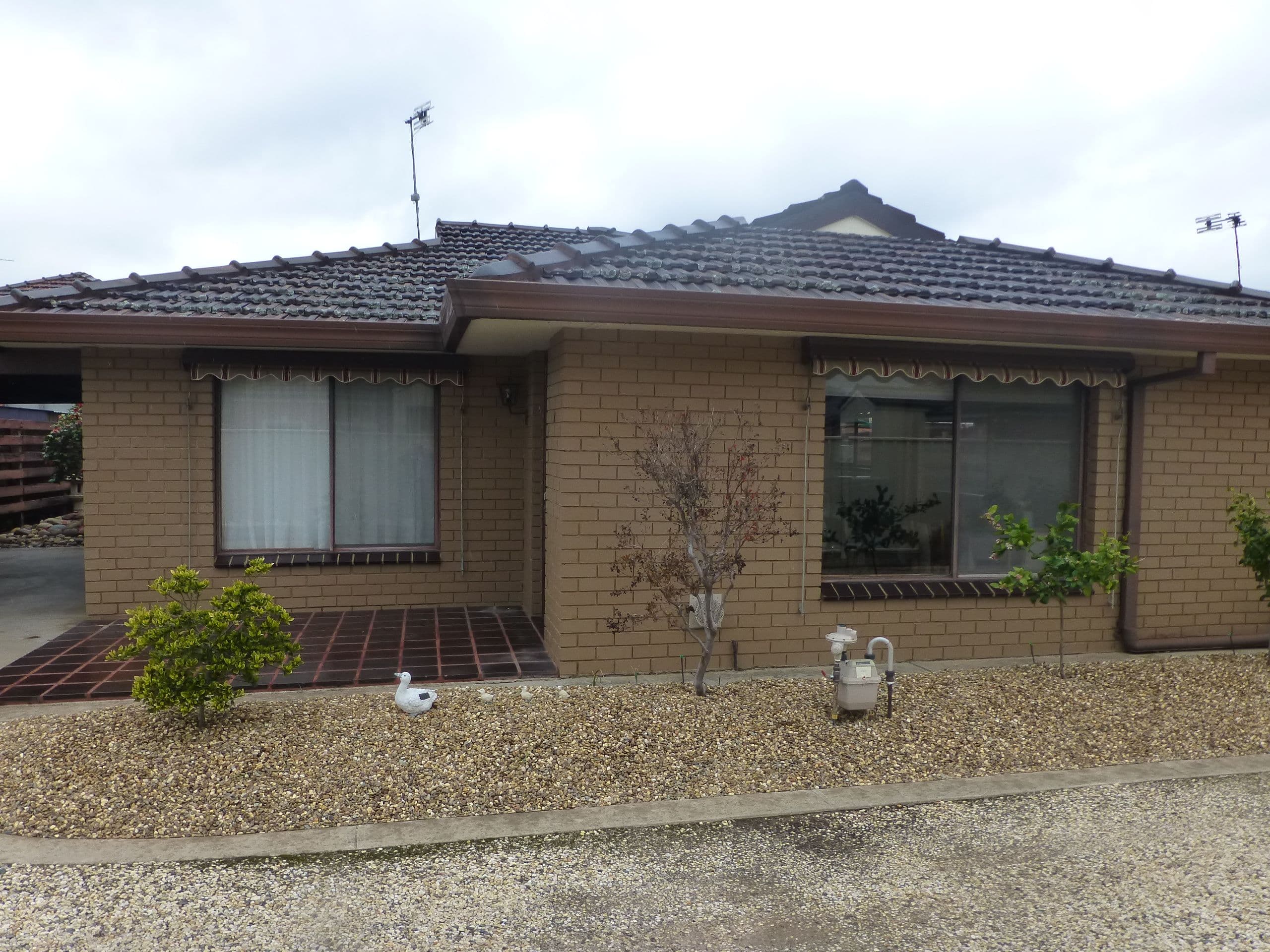 21 Hare Street, Echuca VIC 3564, Echuca - Image 1