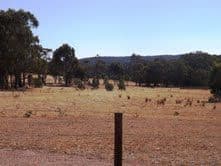 213 Hirds Road, HEATHCOTE VIC 3523, Heathcote - Thumbnail 4