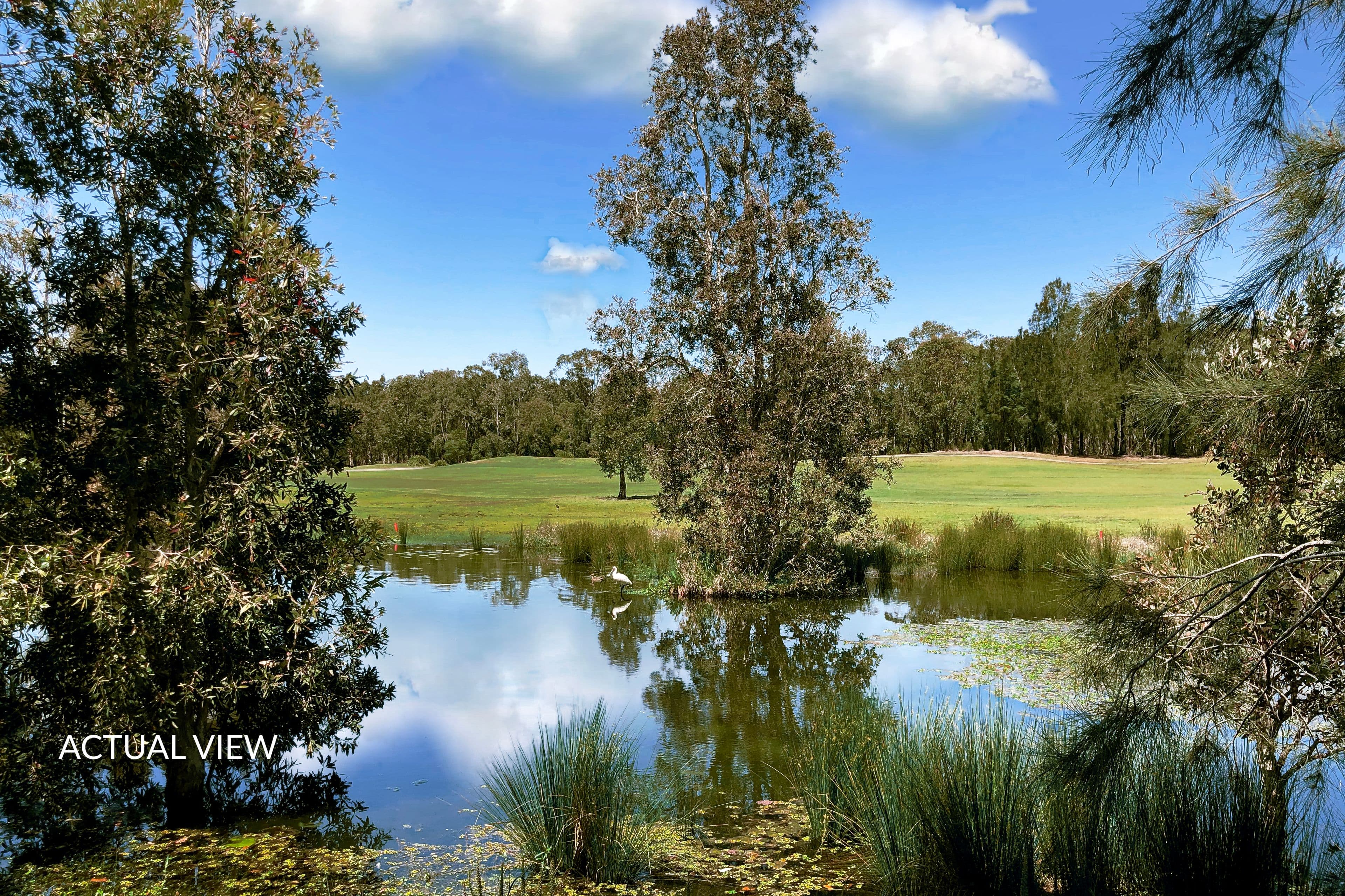 26 Windsorgreen Drive, Wyong NSW 2259, Wyong - Thumbnail 2