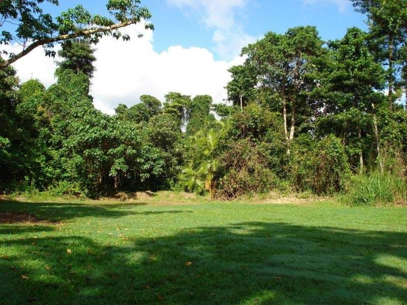 EL ARISH QLD 4855, El Arish - Thumbnail 4