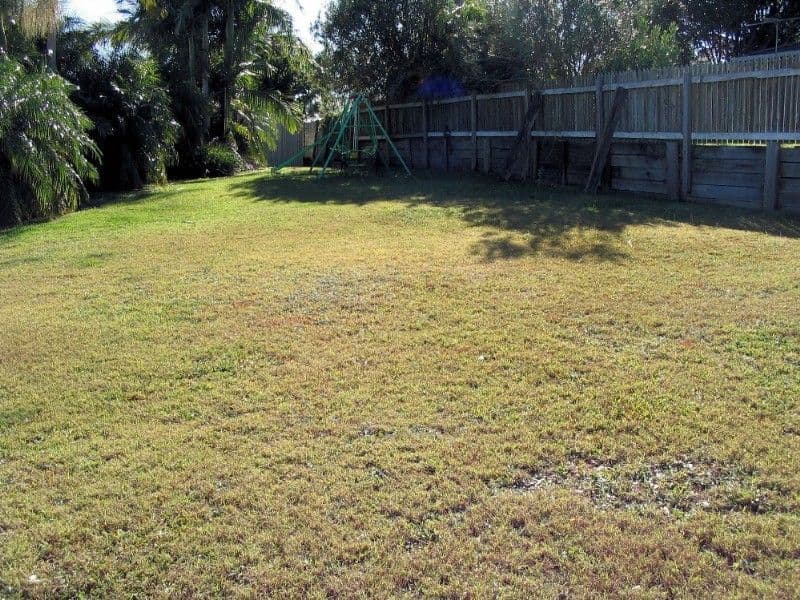 7 Dellamarra Close, ALEXANDRA HILLS QLD 4161, Alexandra Hills - Thumbnail 5