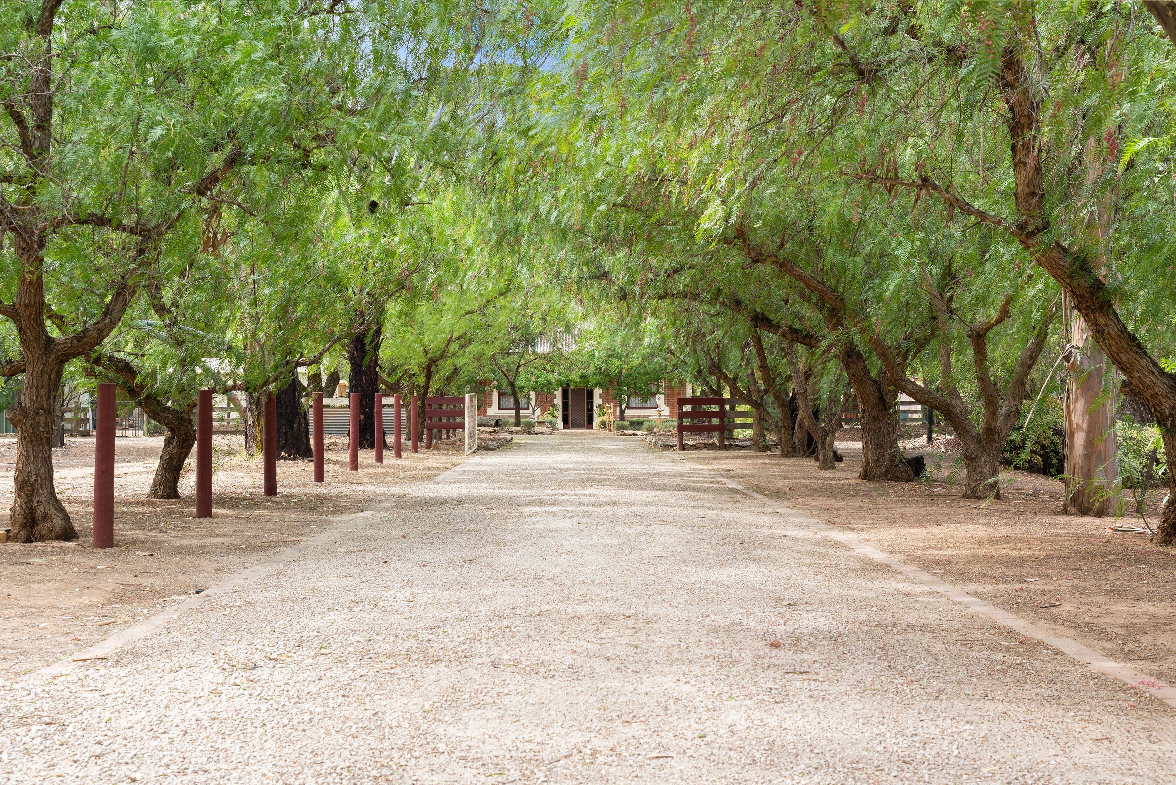 Macdonald Park SA 5121, Macdonald Park - Image 1