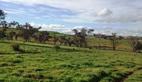 25 Hazelton Place Murringo, Young NSW 2594, Young - Thumbnail 3