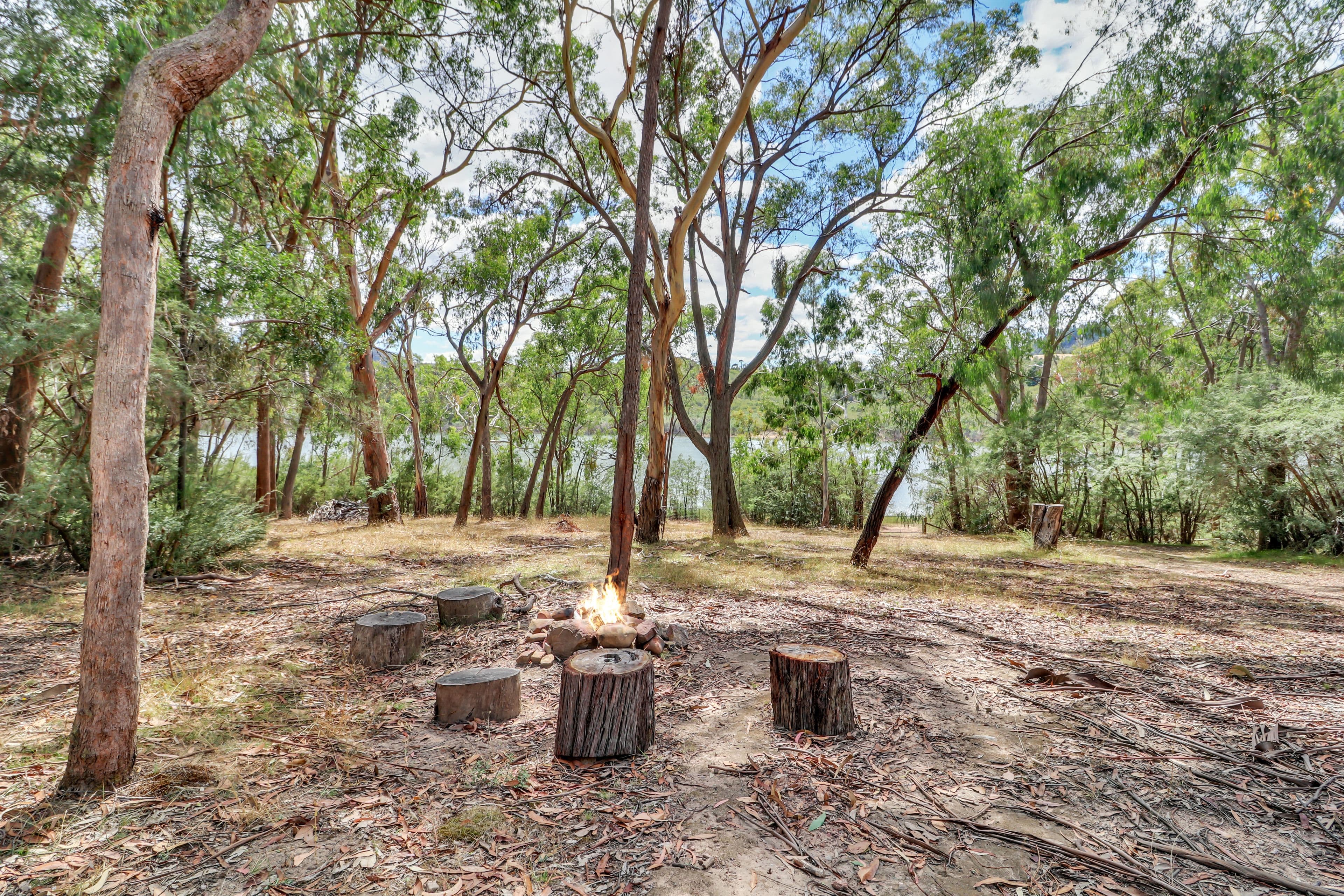 129 Peacheys Road, Jamieson VIC 3723, Jamieson - Thumbnail 3