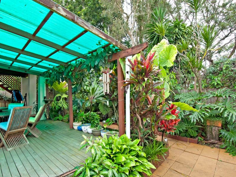 51 Juno Drive, AROONA QLD 4551, Aroona - Thumbnail 5