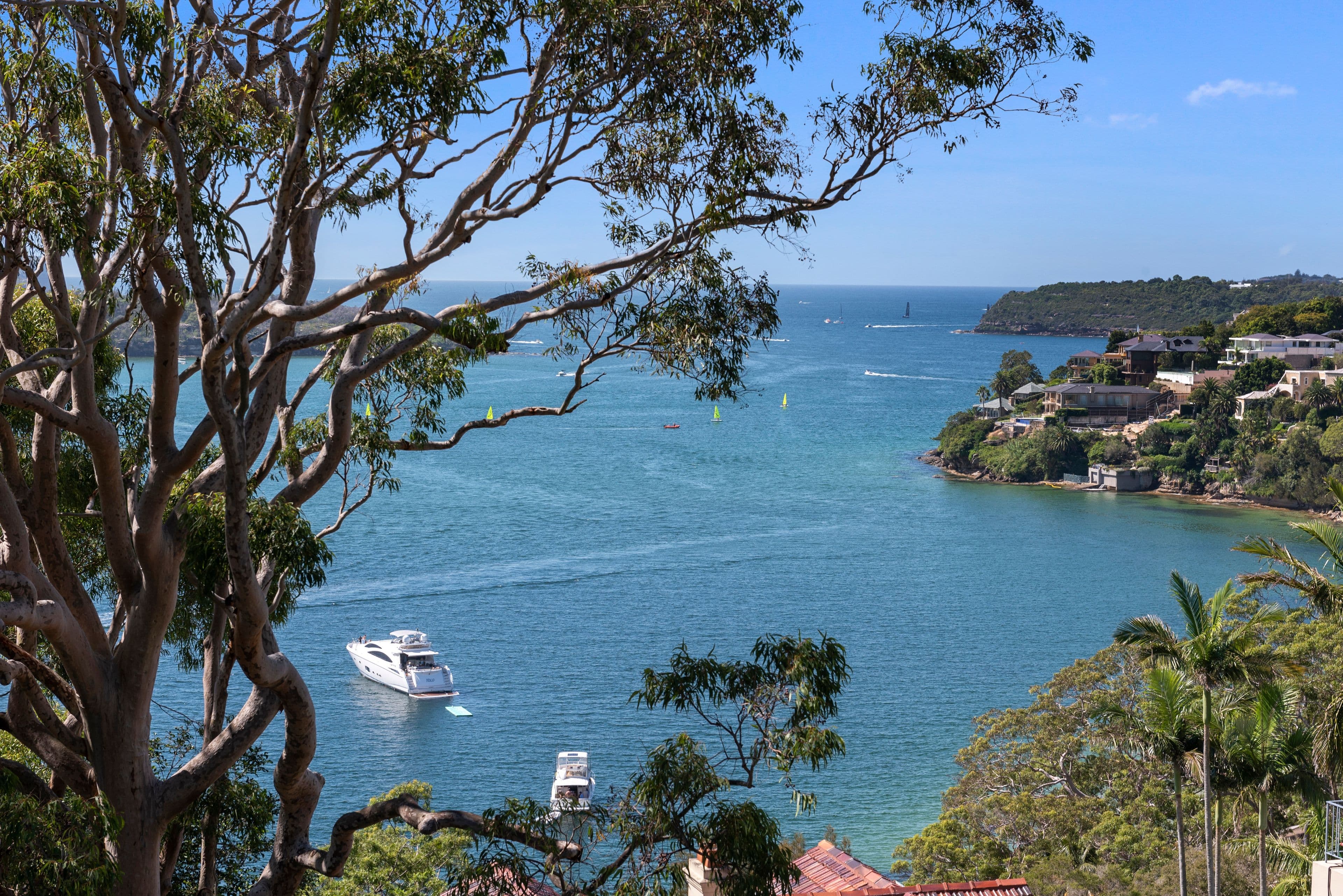 52A PARRIWI Road, Mosman NSW 2088, Mosman - Thumbnail 4