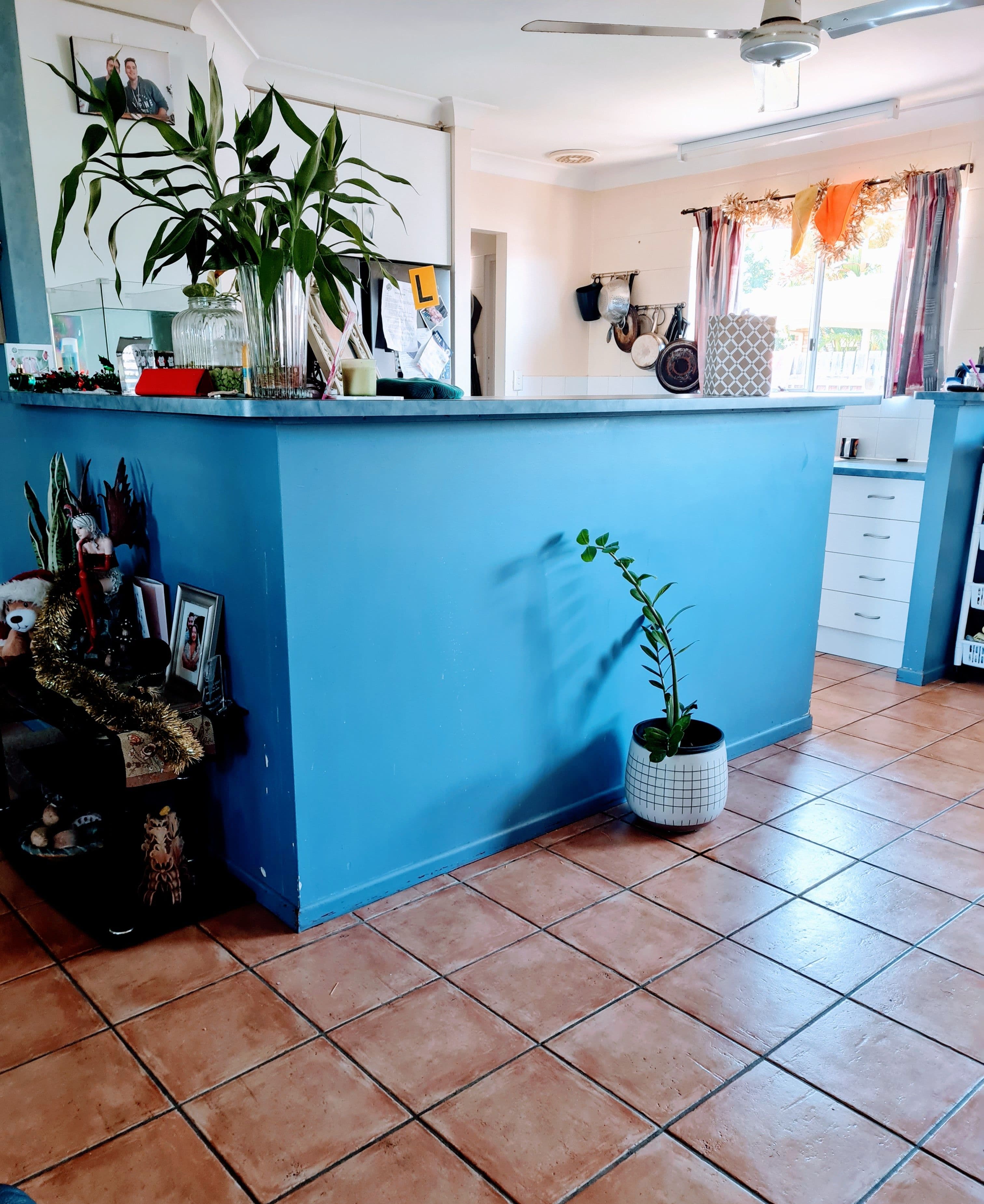 67 Annandale Drive, Annandale QLD 4814, Annandale - Thumbnail 6