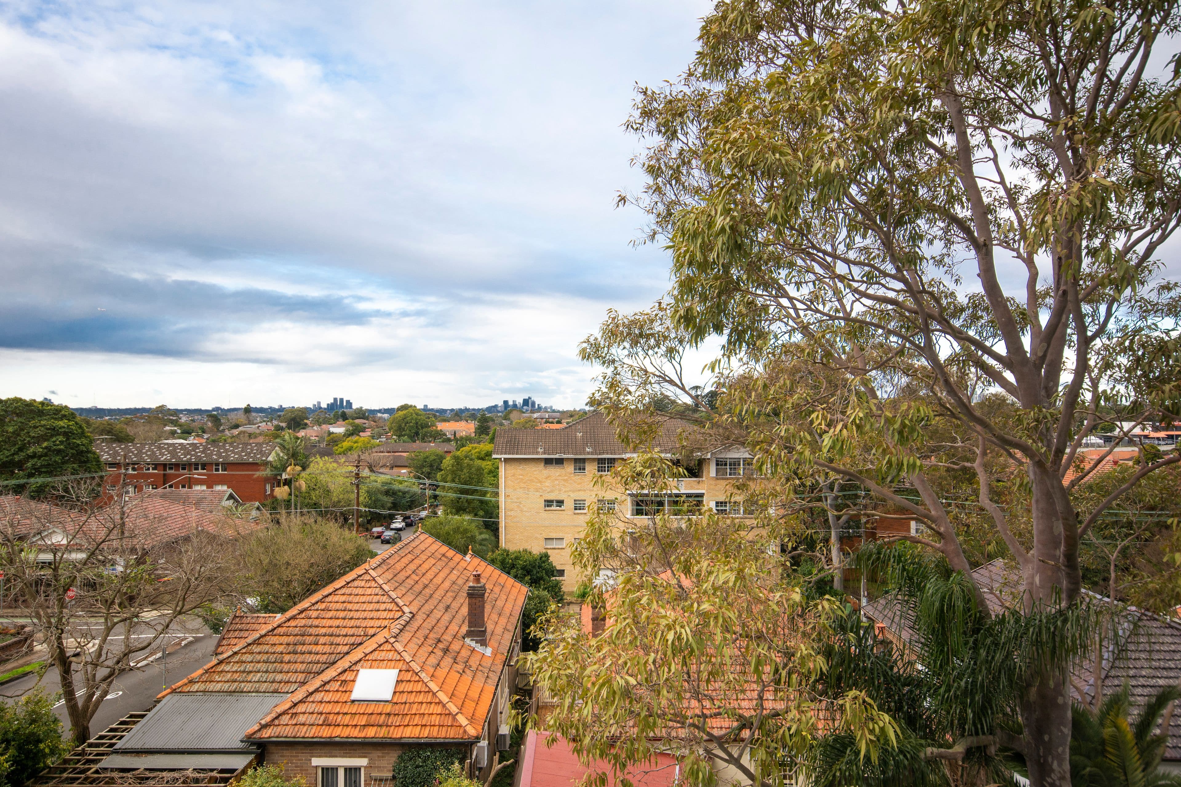 89 Bland Street, Ashfield NSW 2131, Ashfield - Thumbnail 5