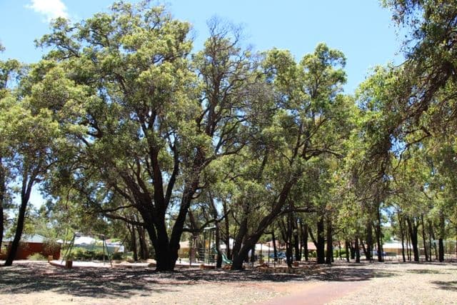 3 Emerald Lane, BULLSBROOK WA 6084, Bullsbrook - Thumbnail 3
