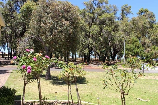 3 Emerald Lane, BULLSBROOK WA 6084, Bullsbrook - Thumbnail 4