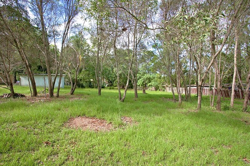15 Spruce Street, LOGANLEA QLD 4131, Loganlea - Thumbnail 4