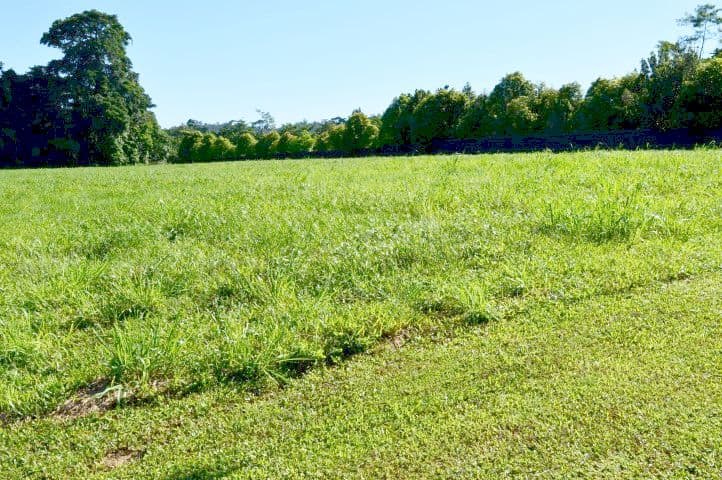4 Lani Close, Mission Beach QLD 4852, Mission Beach - Image 1