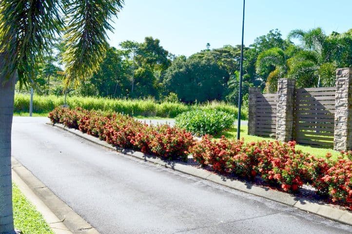 4 Lani Close, Mission Beach QLD 4852, Mission Beach - Thumbnail 2