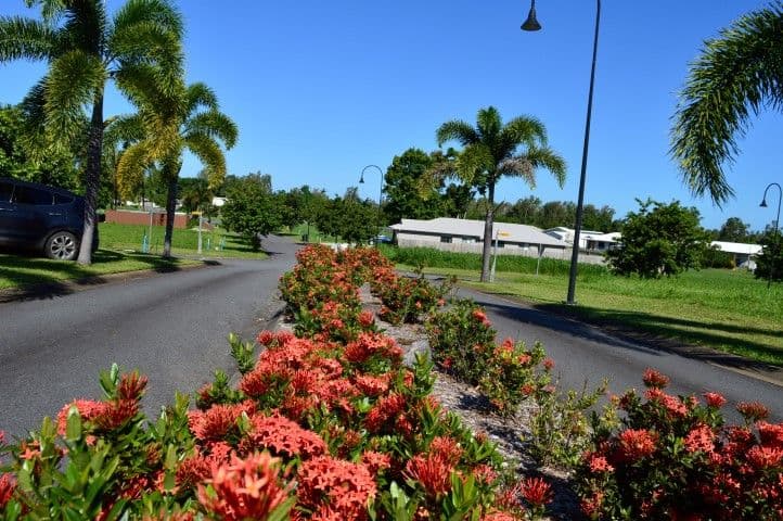 4 Lani Close, Mission Beach QLD 4852, Mission Beach - Thumbnail 5