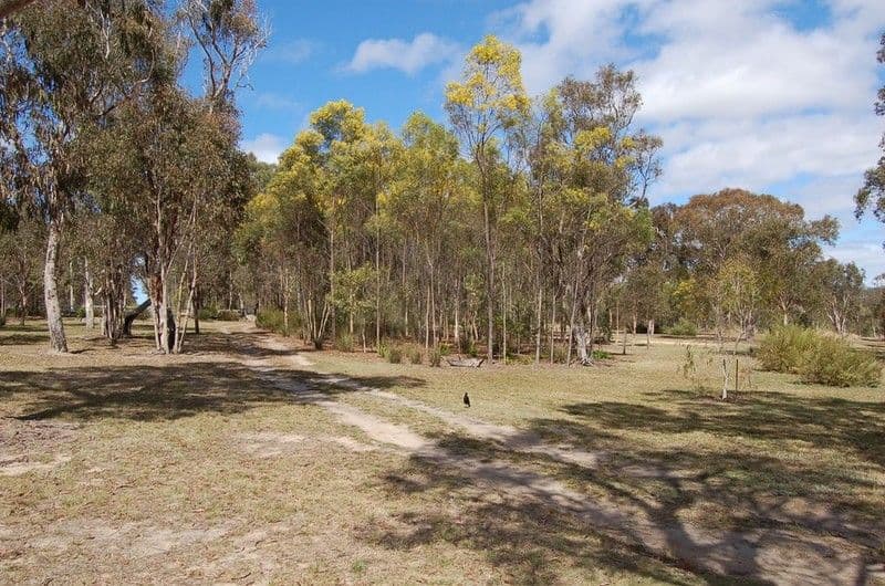 29 Pinnell Road, CROWS NEST QLD 4355, Crows Nest - Thumbnail 5