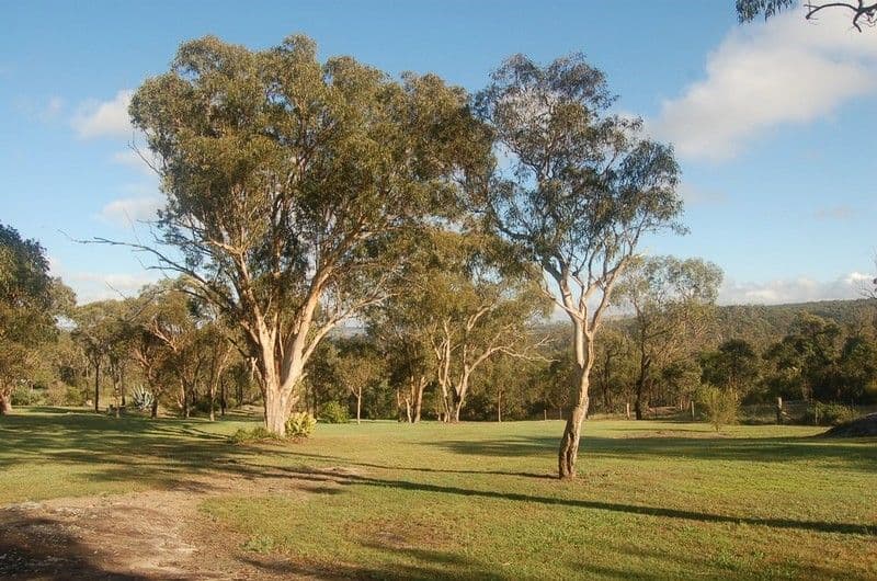 29 Pinnell Road, CROWS NEST QLD 4355, Crows Nest - Thumbnail 6