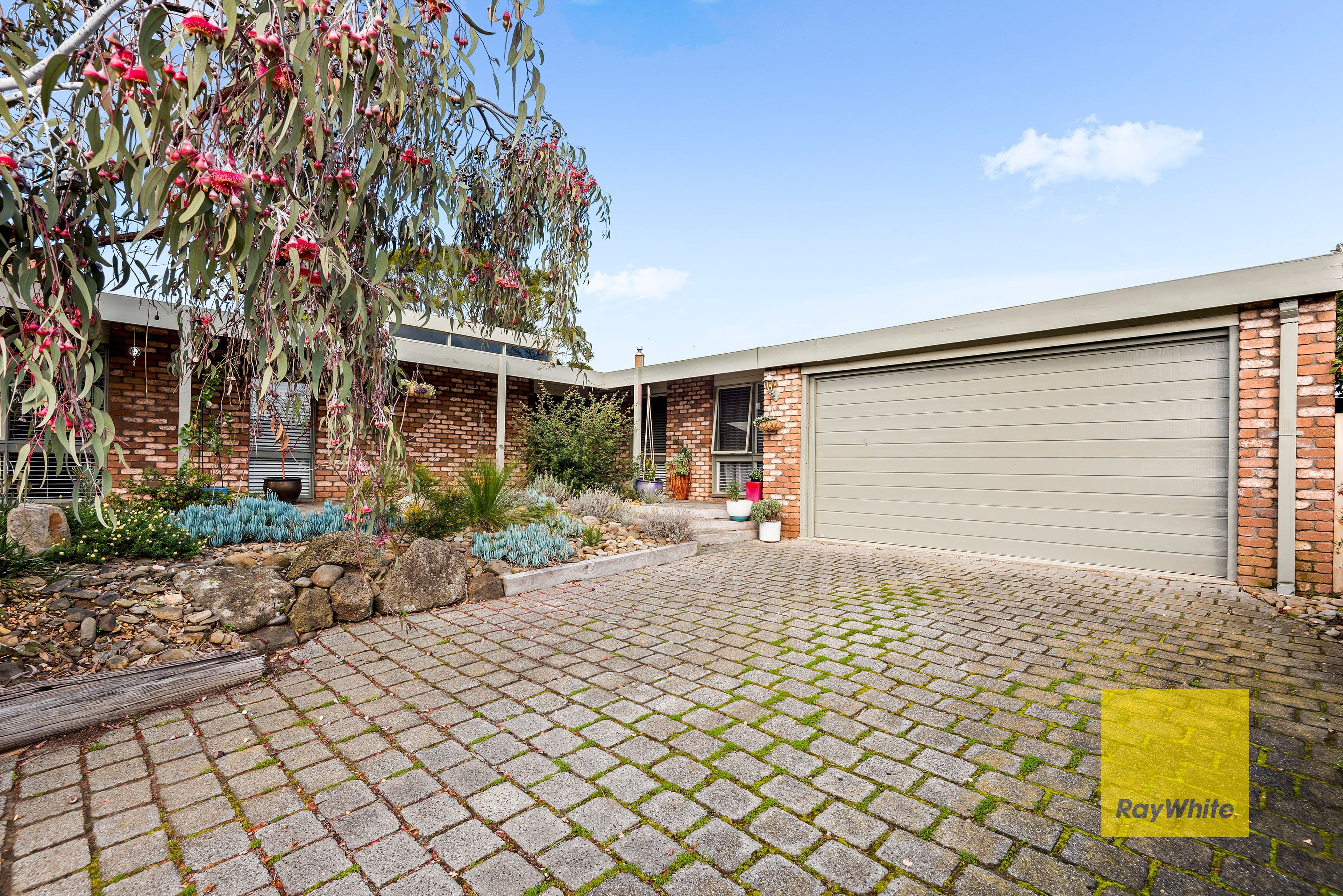 11 Grange Court, Leopold VIC 3224, Leopold - Thumbnail 2